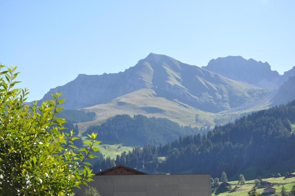 Chalet Allmegrat Adelboden Exterior photo